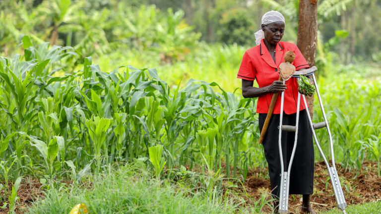 Inclusivity in Agriculture: Ghana Federation of Disability Organisations Celebrates Farmers with Disabilities on National Farmers’ Day 2023